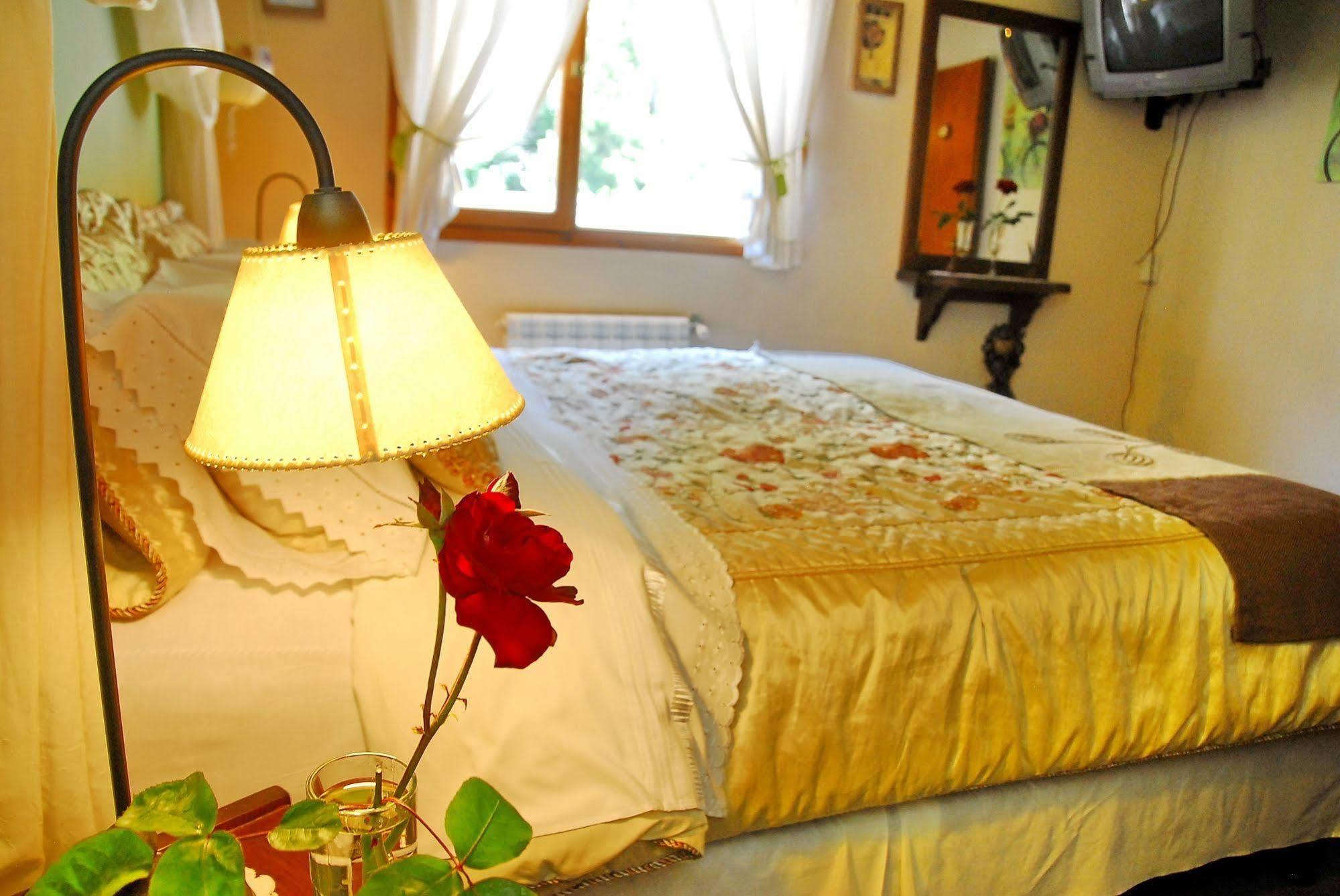 Rotui Apart Hotel San Martín de los Andes Eksteriør bilde